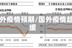 国外疫情预期/国外疫情趋缓