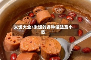 米饭大全/米饭的各种做法及小吃