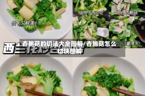 杏鲍菇的切法大全图解/杏鲍菇怎么切块图解
