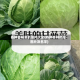 各种各样菜的图片大全(各种各样的菜图片及名字)