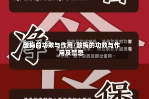 酸梅的功效与作用/酸梅的功效与作用及禁忌