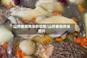 山药香菇鸡汤的功效/山药香菇鸡汤图片