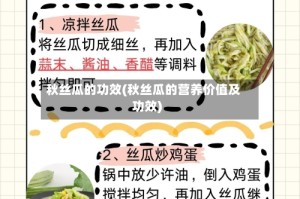 秋丝瓜的功效(秋丝瓜的营养价值及功效)
