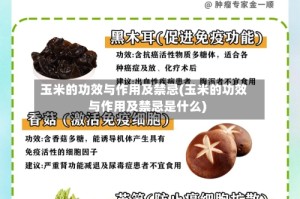 玉米的功效与作用及禁忌(玉米的功效与作用及禁忌是什么)