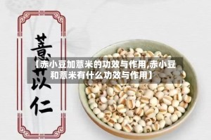 【赤小豆加薏米的功效与作用,赤小豆和薏米有什么功效与作用】