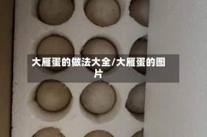 大雁蛋的做法大全/大雁蛋的图片