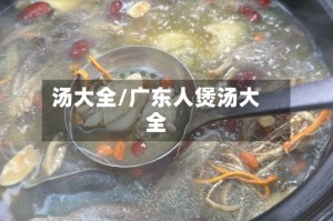 汤大全/广东人煲汤大全