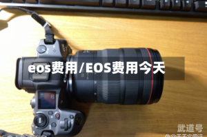 eos费用/EOS费用今天