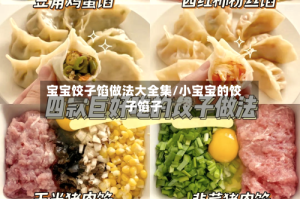 宝宝饺子馅做法大全集/小宝宝的饺子馅子