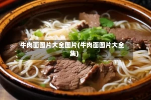 牛肉面图片大全图片(牛肉面图片大全集)