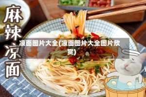 凉面图片大全(凉面图片大全图片欣赏)