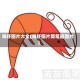 海虾图片大全(海虾图片简笔画图片)