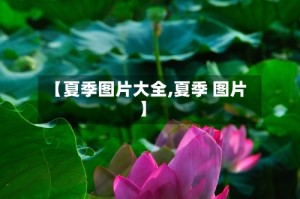 【夏季图片大全,夏季 图片】