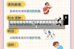 尿的功效与作用(飞罗尿的功效与作用)