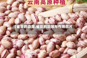 【雀豆的功效,雀豆的功效与作用图片】
