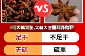 【大料大全,大料大全图片介绍】