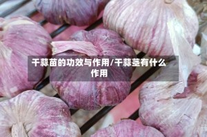 干蒜苗的功效与作用/干蒜茎有什么作用