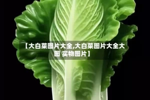 【大白菜图片大全,大白菜图片大全大图 实物图片】