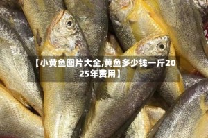 【小黄鱼图片大全,黄鱼多少钱一斤2025年费用】