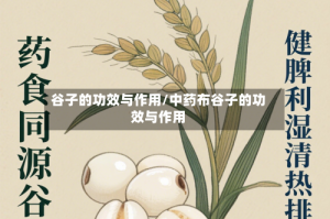 谷子的功效与作用/中药布谷子的功效与作用