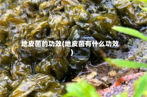 地皮菌的功效(地皮菌有什么功效)