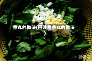 鱼丸的做法(巴沙鱼鱼丸的做法)