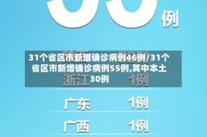 31个省区市新增确诊病例46例/31个省区市新增确诊病例55例,其中本土30例