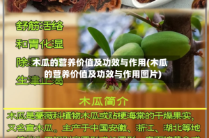 木瓜的营养价值及功效与作用(木瓜的营养价值及功效与作用图片)