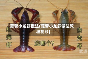 蒜蓉小龙虾做法(蒜蓉小龙虾做法教程视频)