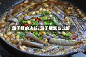 茄子裤的功效/茄子裤怎么吃好