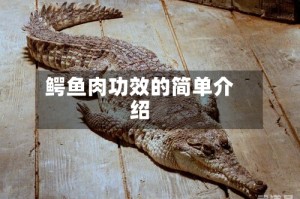 鳄鱼肉功效的简单介绍