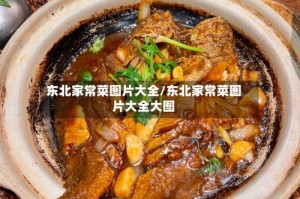 东北家常菜图片大全/东北家常菜图片大全大图