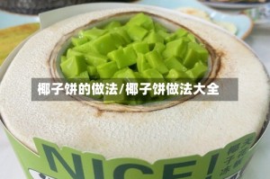 椰子饼的做法/椰子饼做法大全