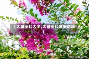 【大暑图片大全,大暑图片唯美意境】