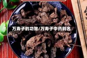 万寿子的功效/万寿子中药别名