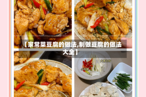 【家常菜豆腐的做法,制做豆腐的做法大全】