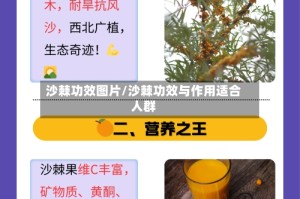 沙棘功效图片/沙棘功效与作用适合人群