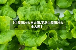 【生菜图片大全大图,罗马生菜图片大全大图】