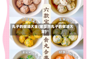 丸子的做法大全(紫菜肉丸子的做法大全)