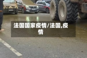 法国国家疫情/法国,疫情