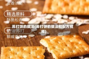 苏打饼的做法(苏打饼的做法和配方视频)