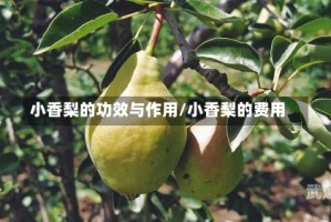 小香梨的功效与作用/小香梨的费用