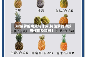 【树菠萝的功效与作用,树菠萝的功效与作用及禁忌】