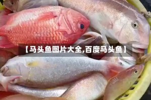 【马头鱼图片大全,百度马头鱼】