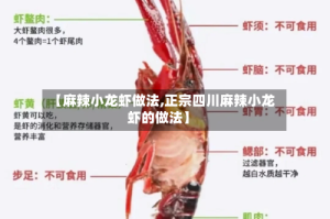 【麻辣小龙虾做法,正宗四川麻辣小龙虾的做法】