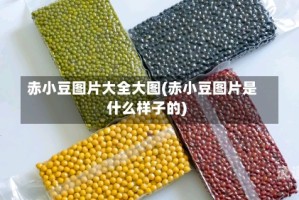 赤小豆图片大全大图(赤小豆图片是什么样子的)