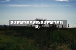 阳逻环湖花园毛坯房(阳逻环湖花园别墅)