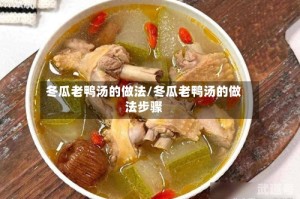 冬瓜老鸭汤的做法/冬瓜老鸭汤的做法步骤