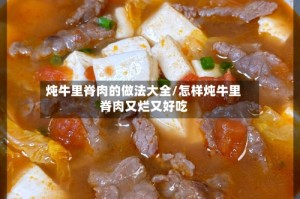 炖牛里脊肉的做法大全/怎样炖牛里脊肉又烂又好吃