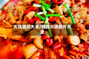 火锅图片大全/鸡煲火锅图片大全